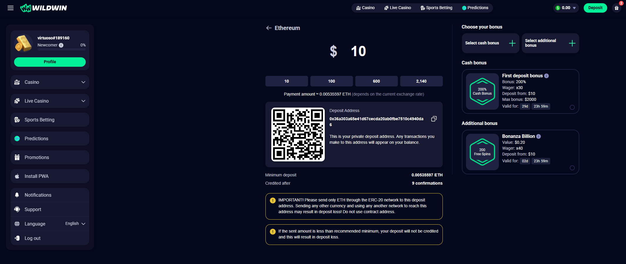 WildWin deposit wallet address and amount step